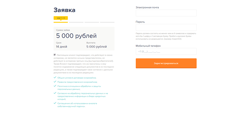 Взять займ в Езаем в Светлогорске